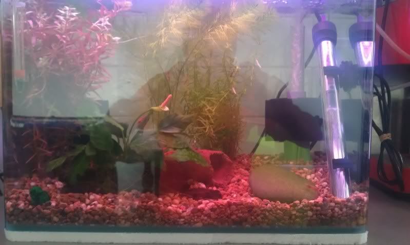 IMAG0283.jpg