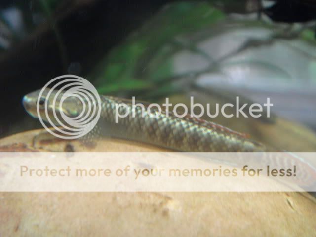 DSC03000.jpg