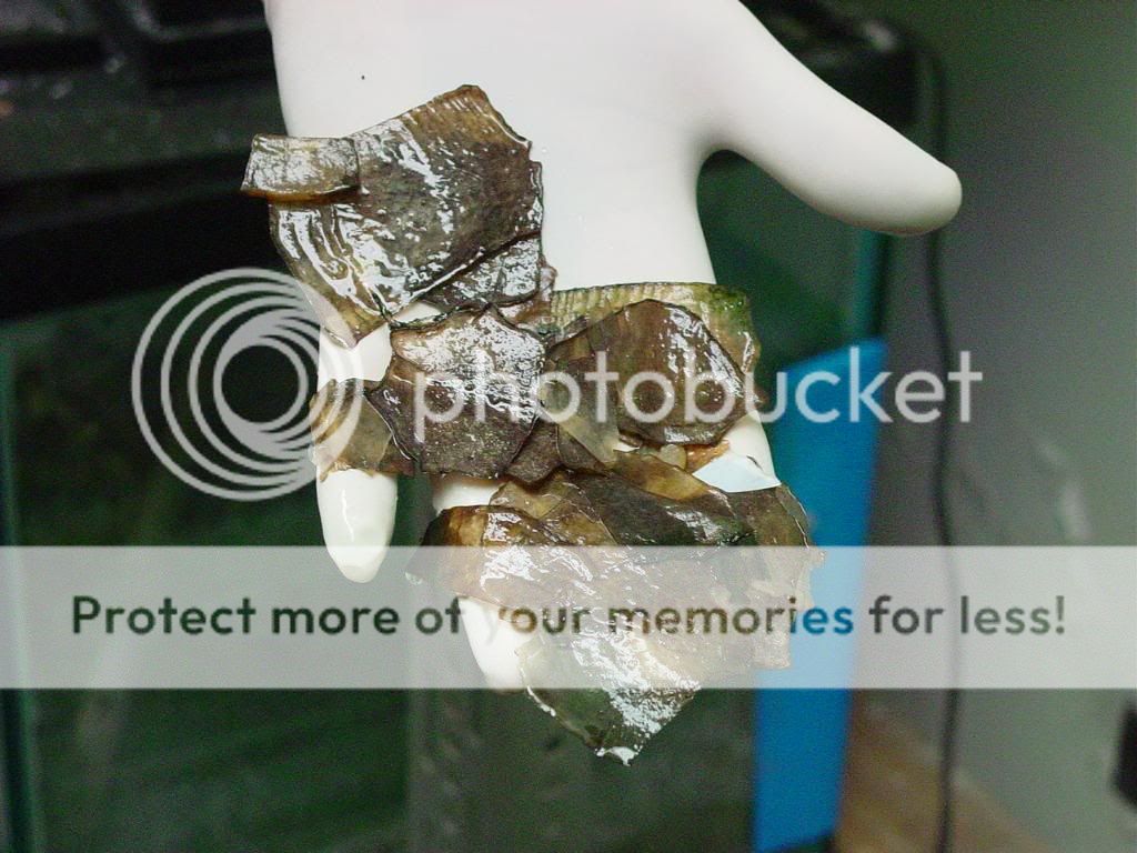 DSC08055.jpg
