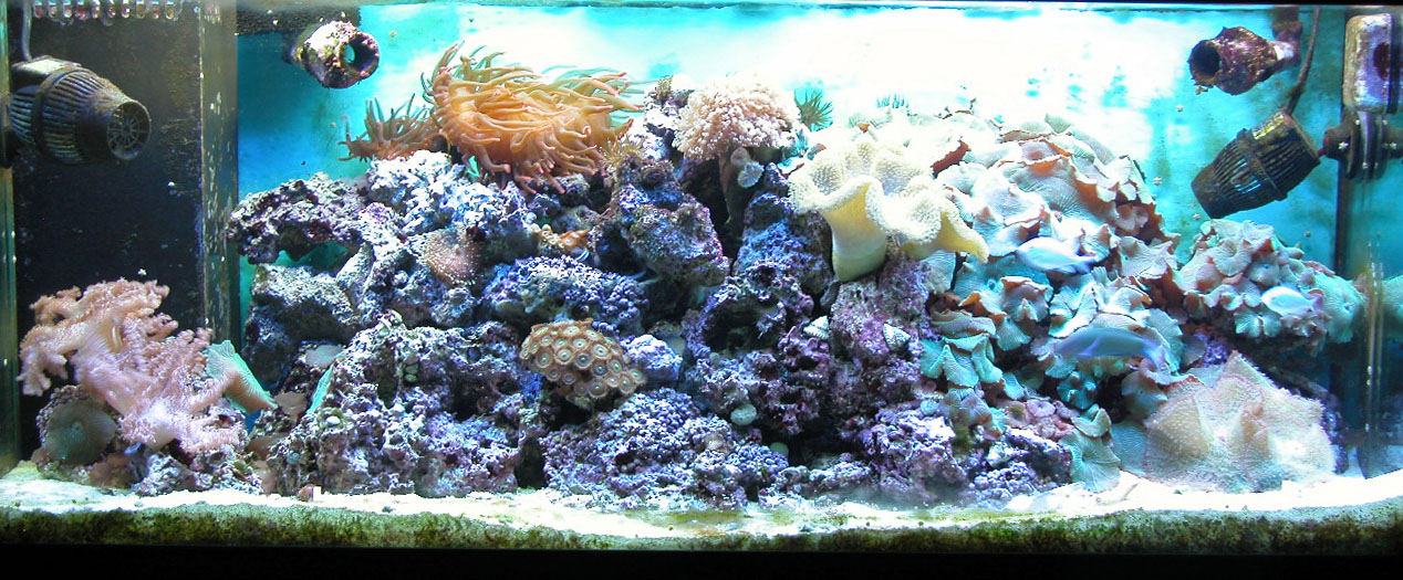 2372702326_1b260a2ea4_o.jpg
