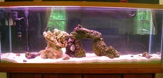 tank_0507.jpg