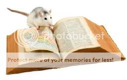 rat_and_map_photo.jpg