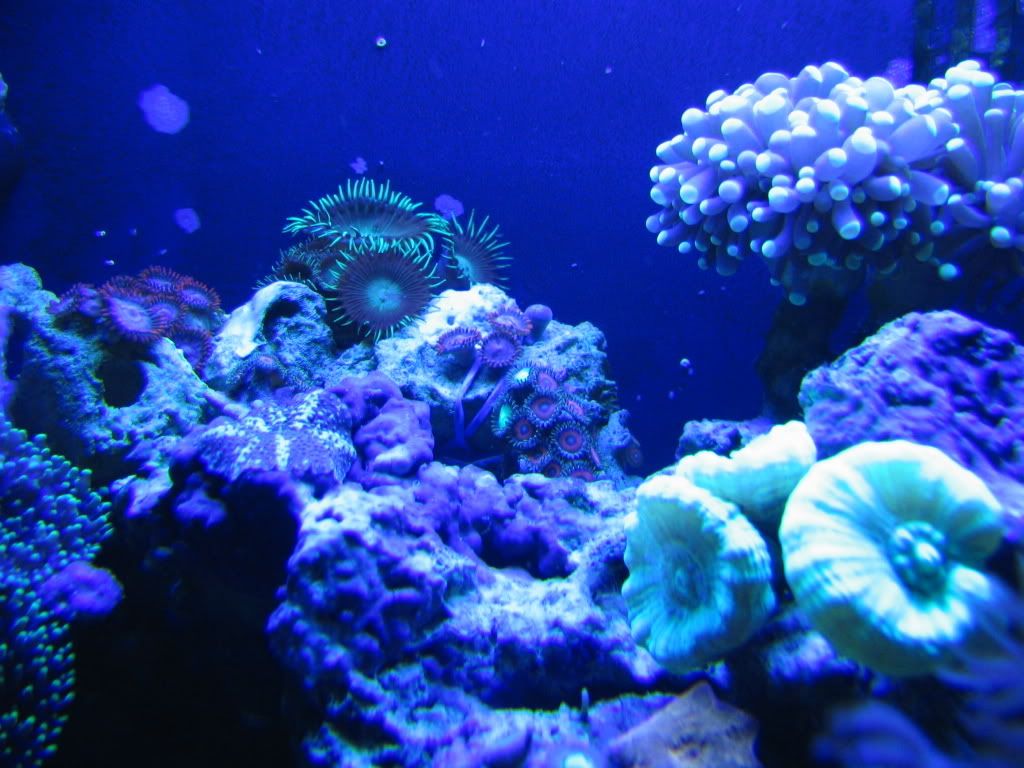 Ocean2292.jpg