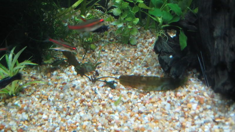 IMG_1679.jpg