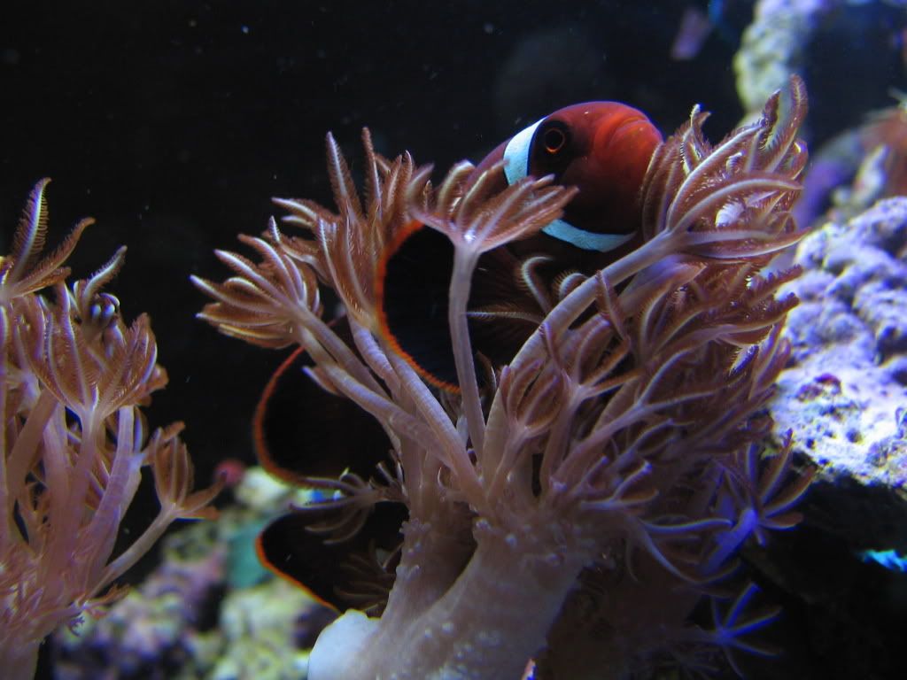 Ocean1479.jpg
