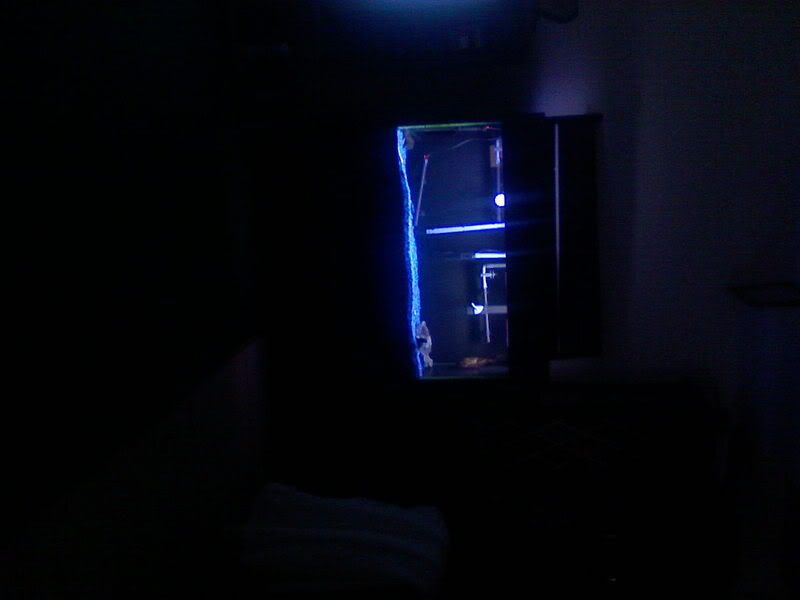 pic2.jpg