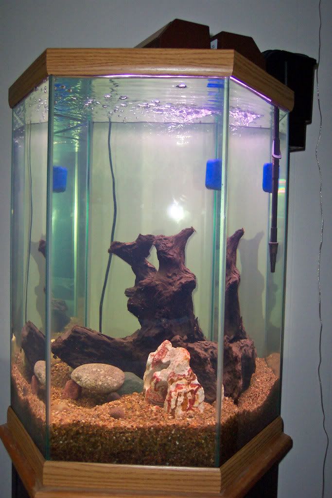 000_0023_edited.jpg