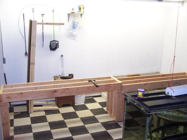 fishwall007.jpg