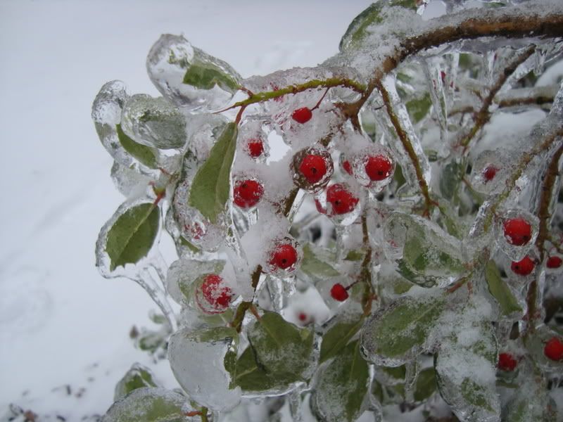 DSC00303.jpg
