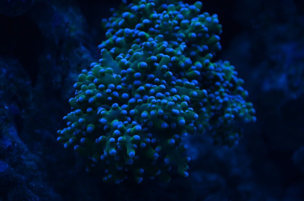 DSC_0768.jpg