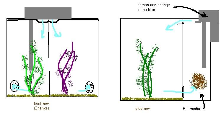 untitled2.jpg