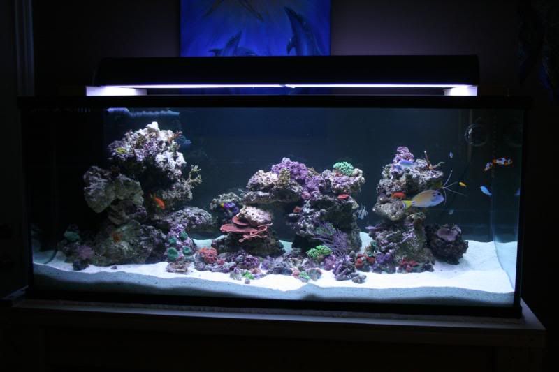 150g018.jpg
