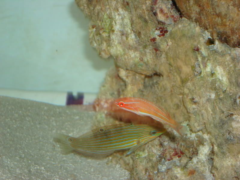 DSC00128.jpg