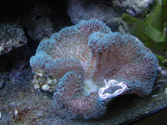 P1010001-18.jpg