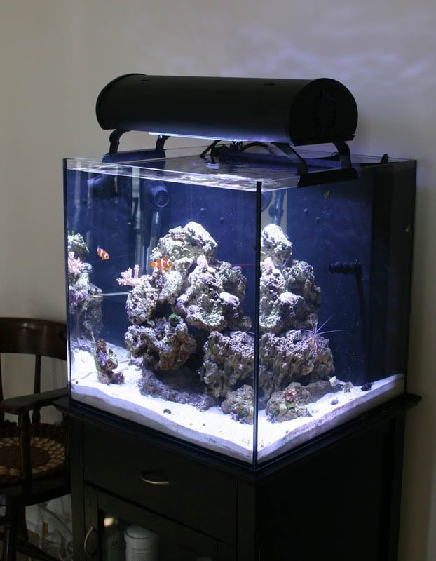 cIMG_8428.jpg