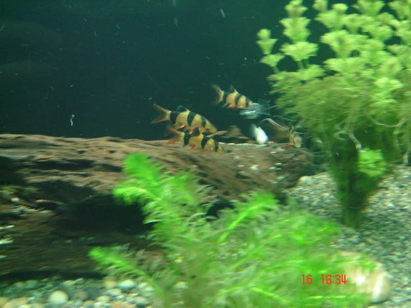 DSC03125.jpg