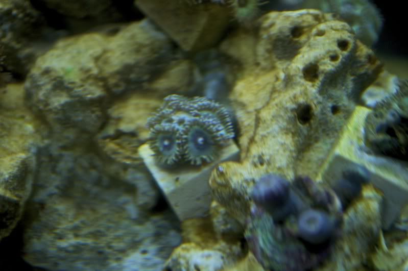 DSC_0040_2.jpg