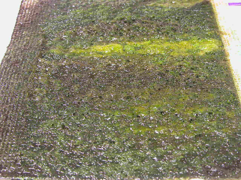 5845038593_8bf58e0909_b.jpg