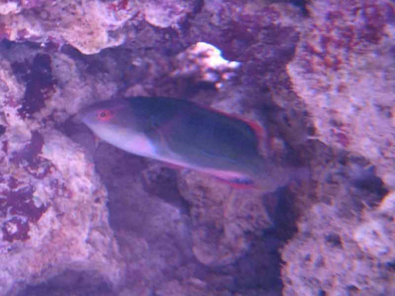 DSCN1713.jpg