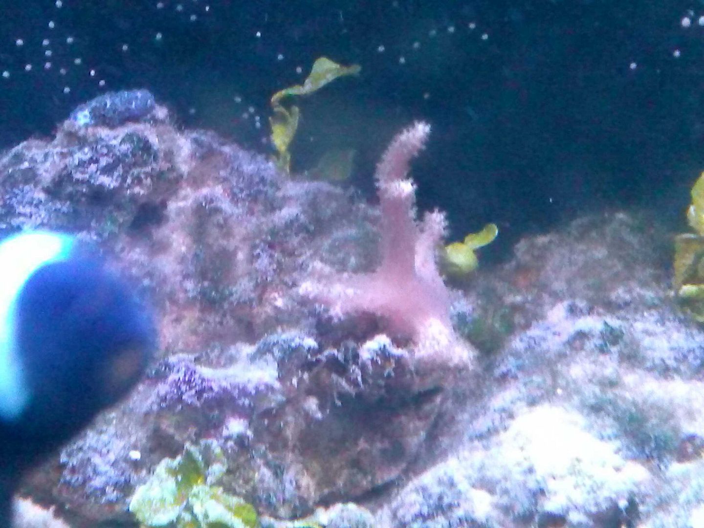 CAM00453.jpg