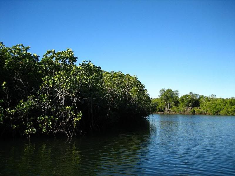 DamperCreek14.jpg