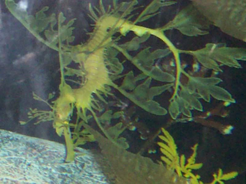 100_0414.jpg