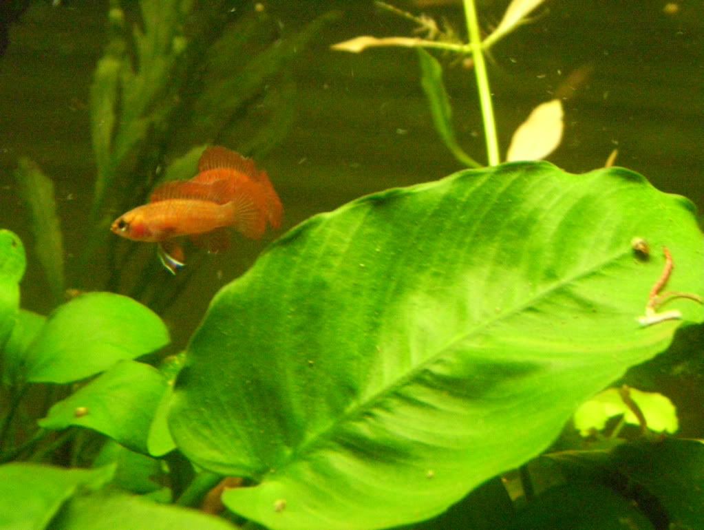100_4844.jpg