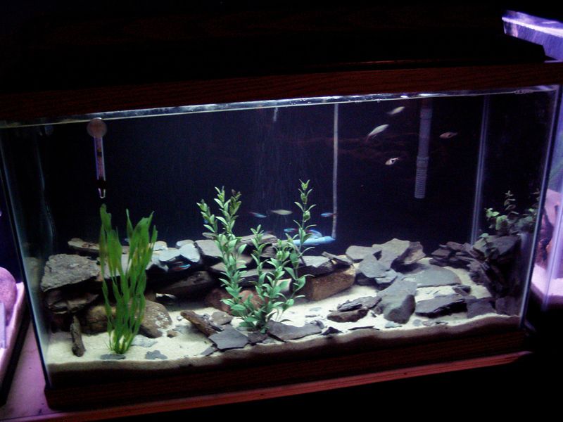 P1010106-1.jpg