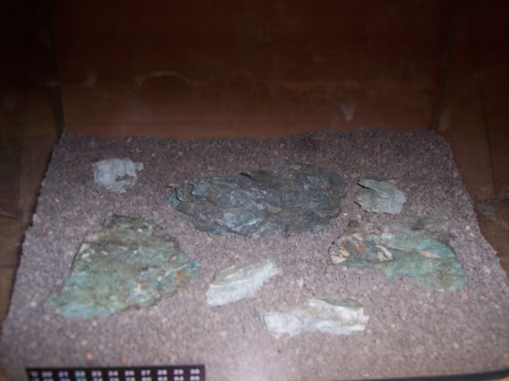 Picture81117.jpg