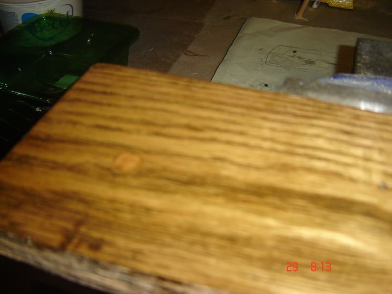DSC02584.jpg