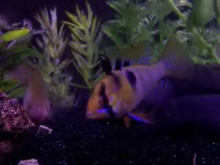 IMG_20101231_004726.jpg
