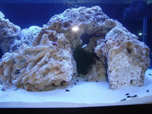 tank036.jpg