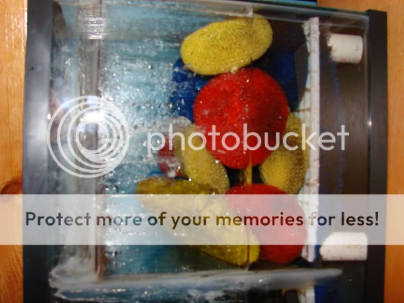 How to make your very own wet/dry, sump and DIY pvc overflow