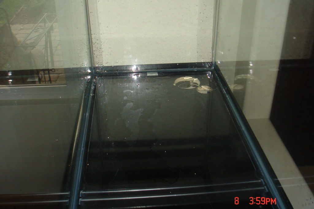 DSC01769.jpg