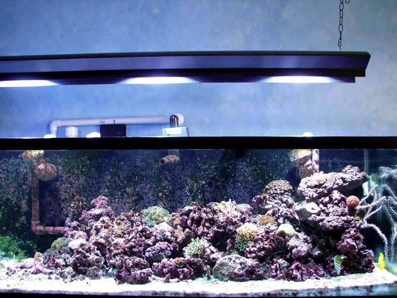 fts.jpg