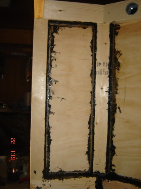 DSC02550.jpg