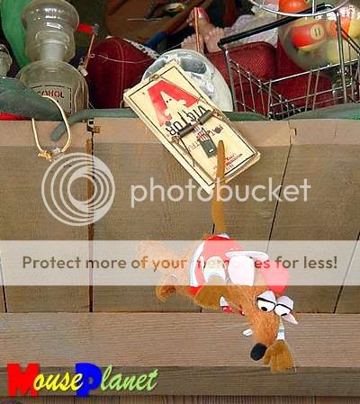 Rizzos-HangingRat-1.jpg