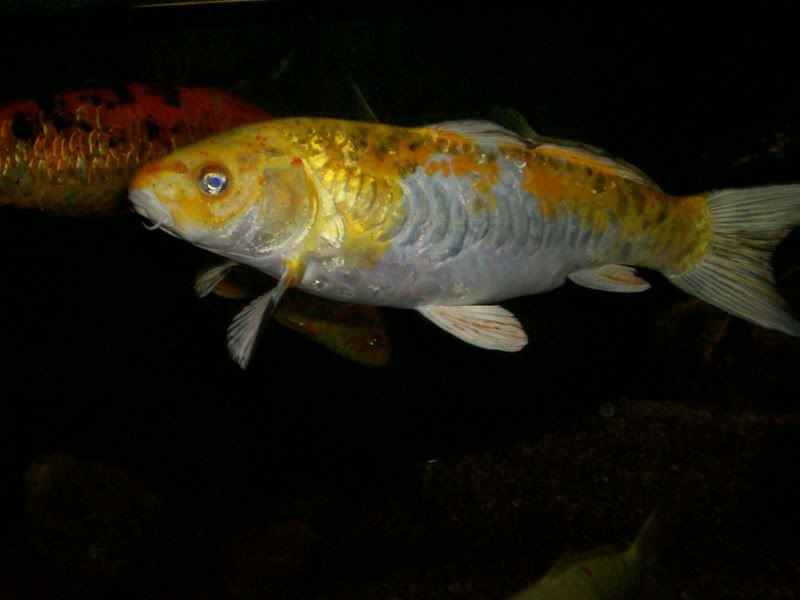 100_0442.jpg