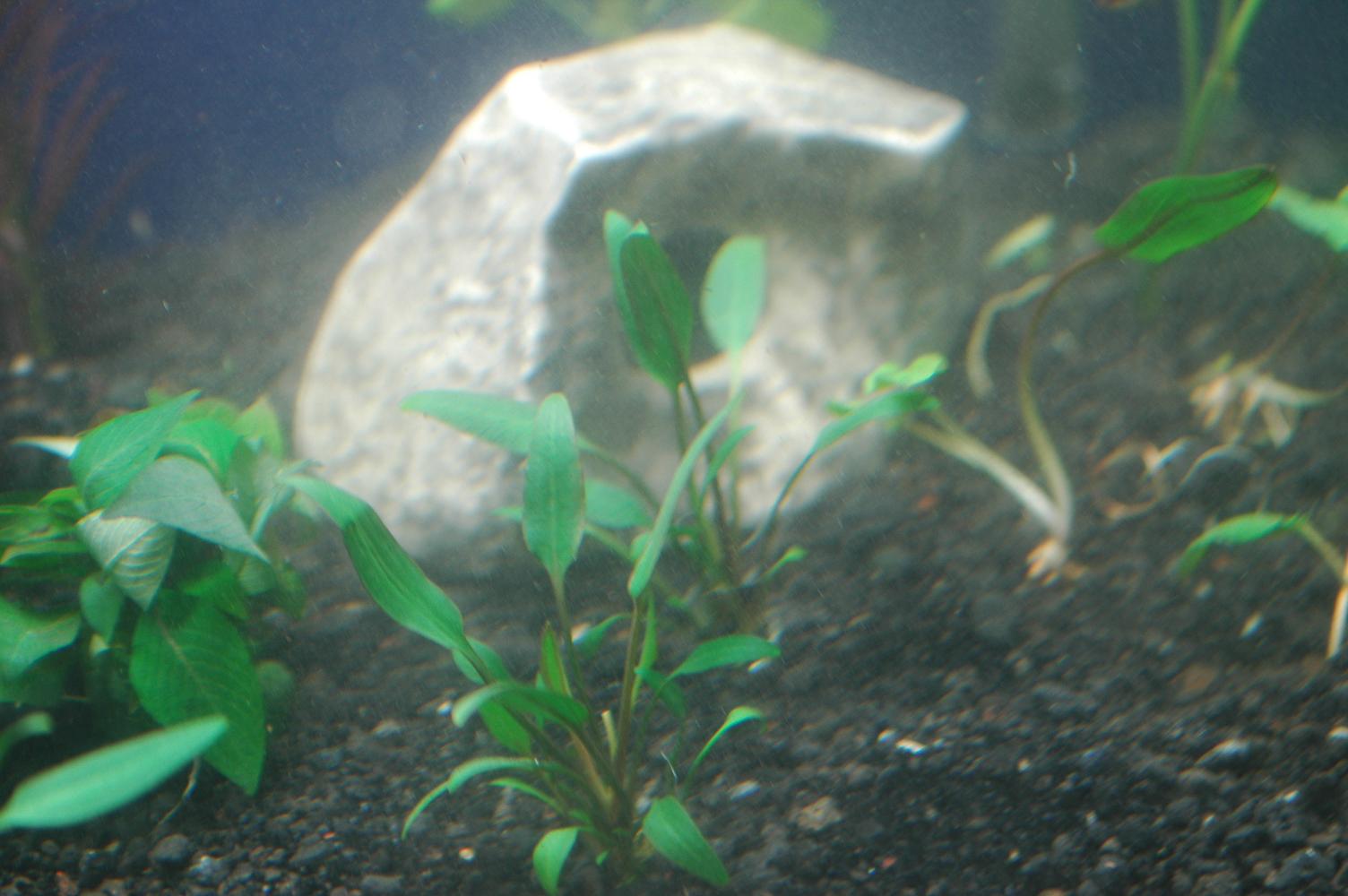 DSC_2475.JPG