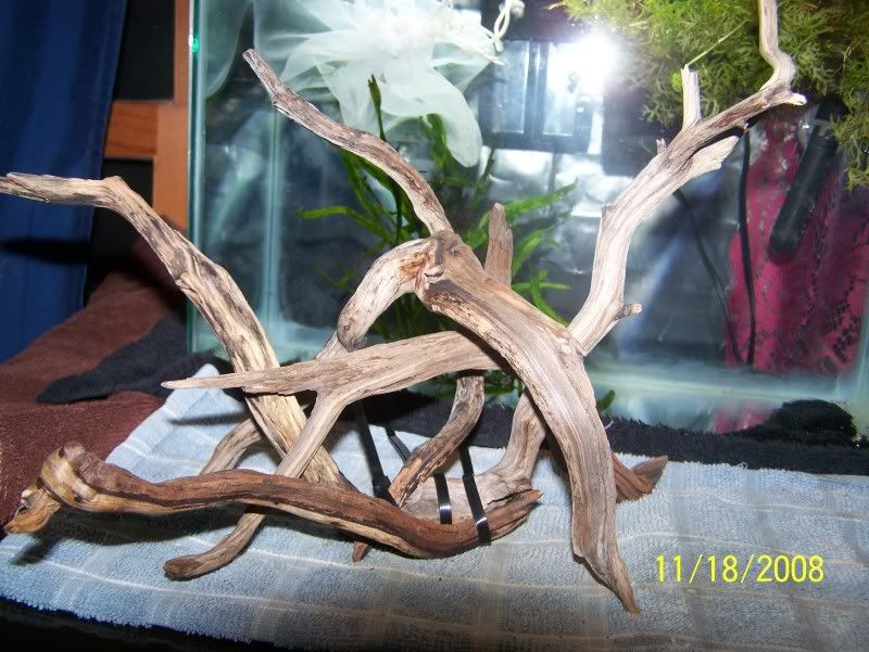 100_1160.jpg