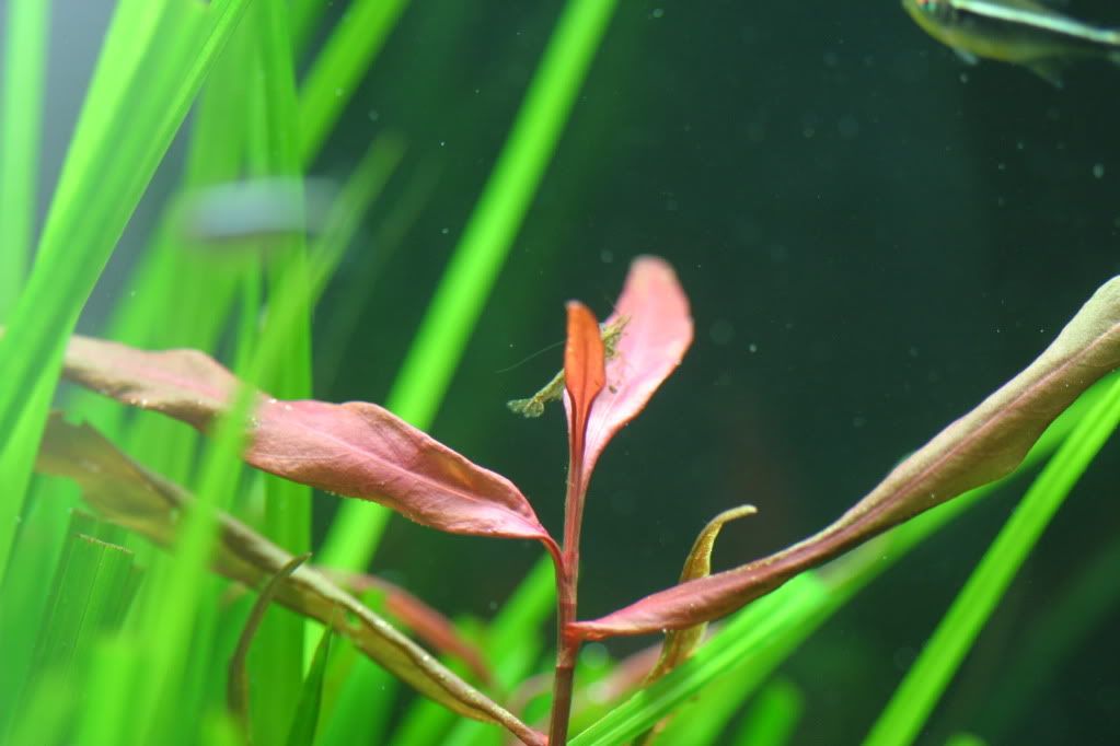 60g04-12-10027.jpg