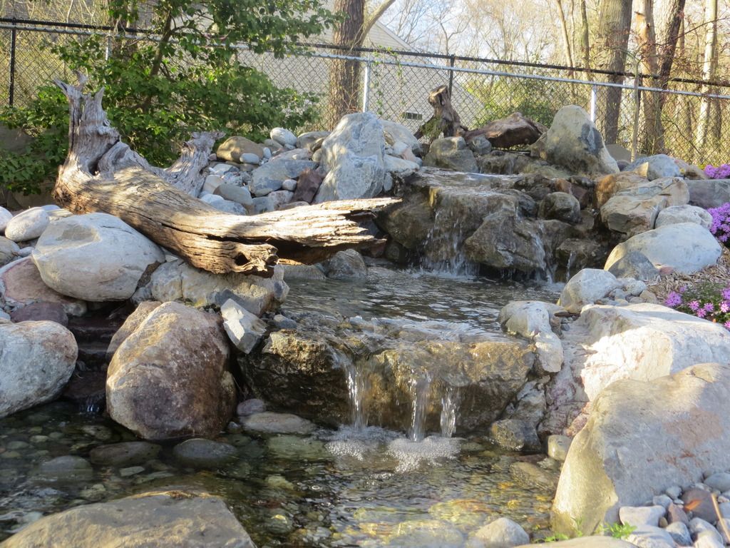 IMG_1120.jpg