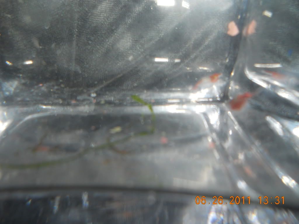 DSCN4966.jpg