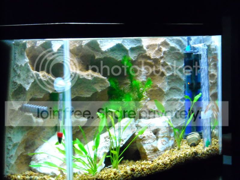 Tank80308005.jpg