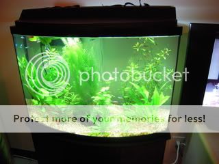 DSCN2197.jpg