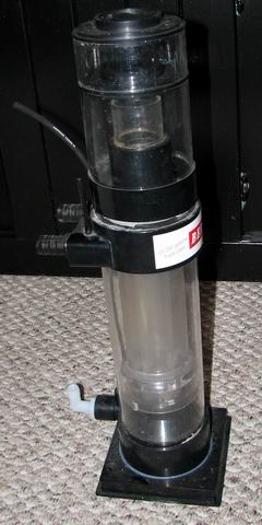 skimmer1.jpg