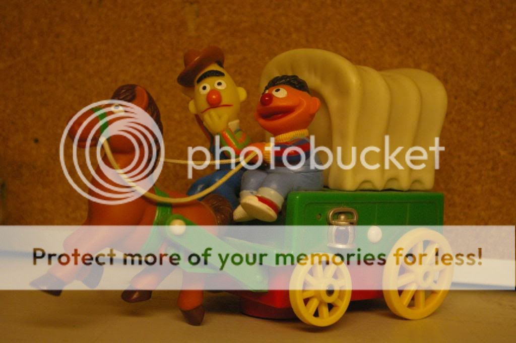 IMGP6594.jpg