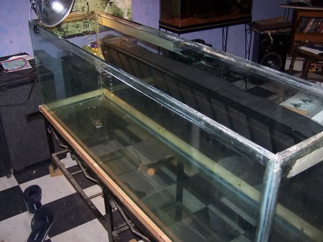 Picture111.jpg