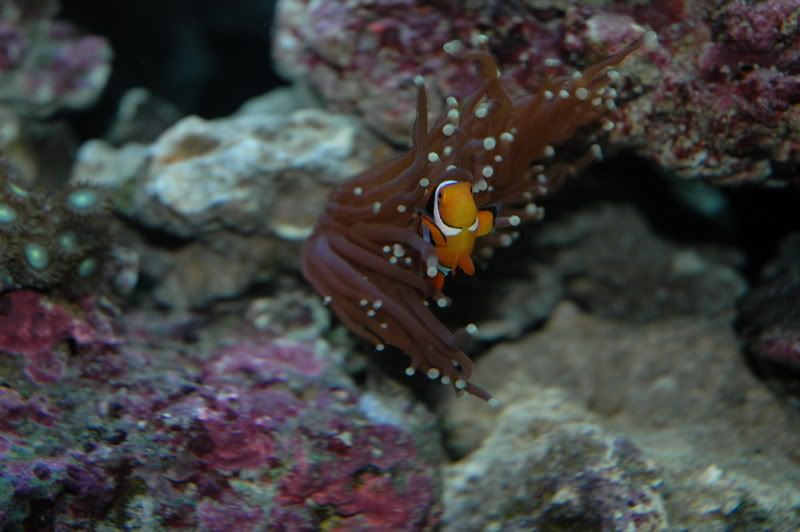 DSC_0076.jpg