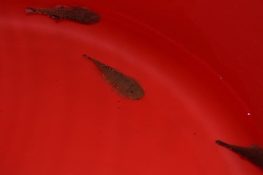 DSC_0444.jpg